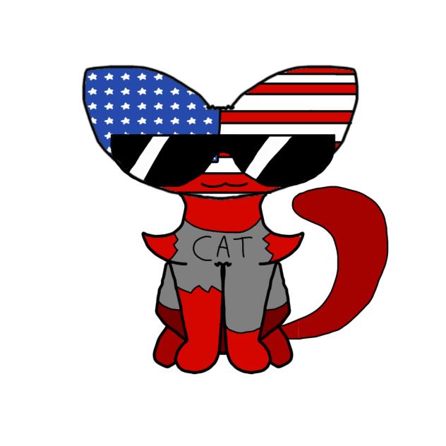 American kitty