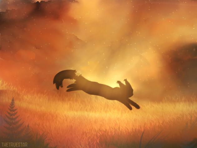 Stars await your fate.