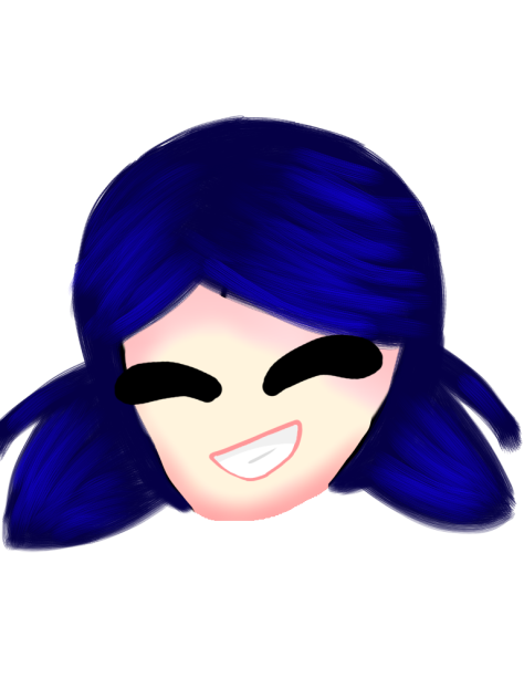 Uhhh marinette hair try