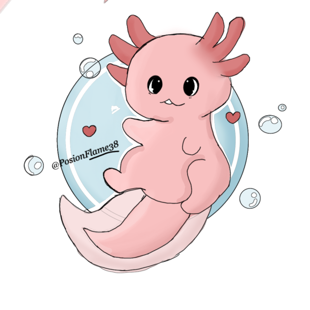 Axolotl