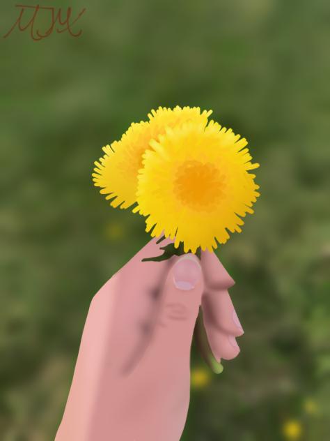 dandelion