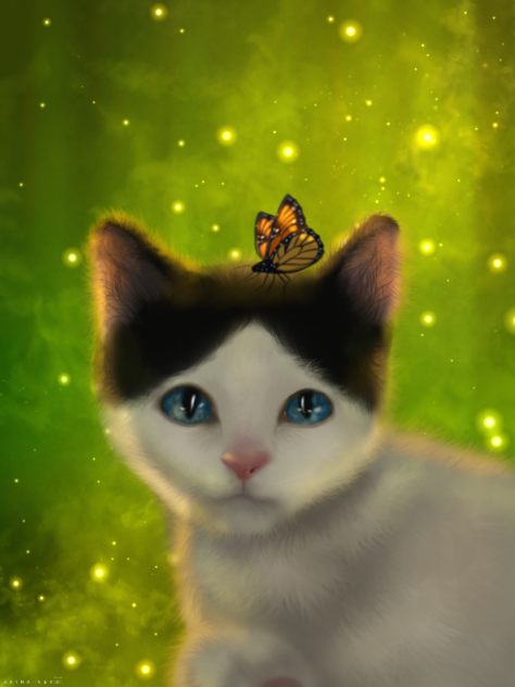 Kitten and butterfly