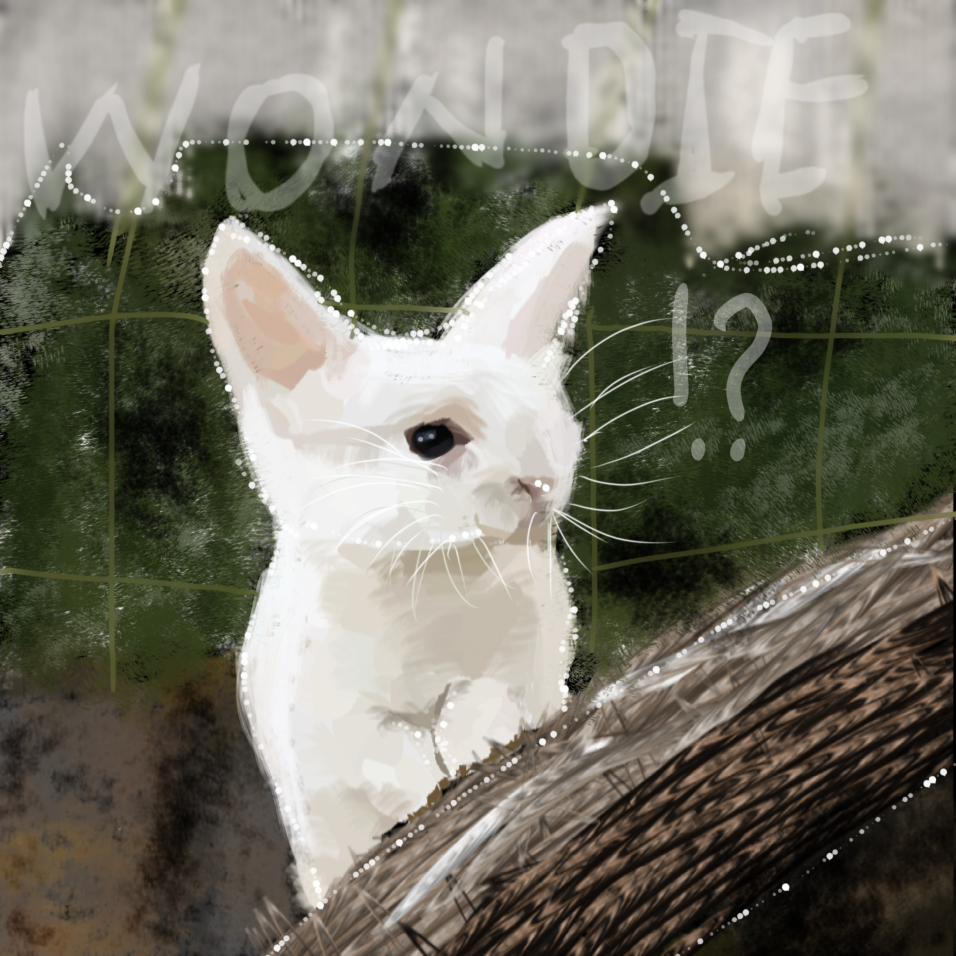 Confused rabbit 🐇 🐰 - ibisPaint