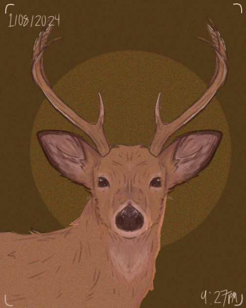 idk deer - ibisPaint