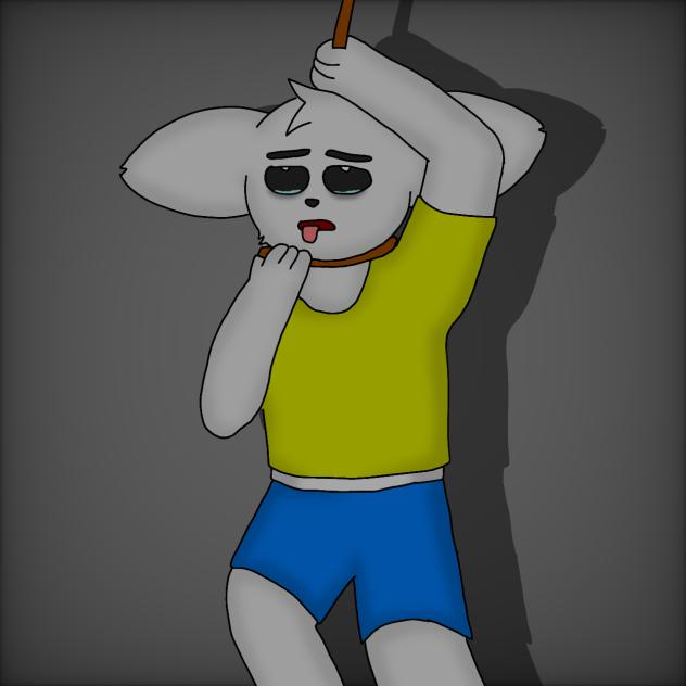 Thirteenth Attempt