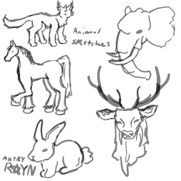 Animal sketches