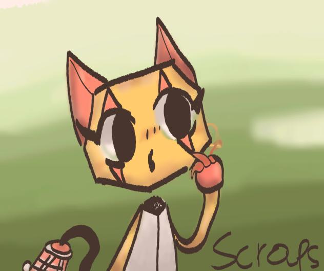 scraps °0°