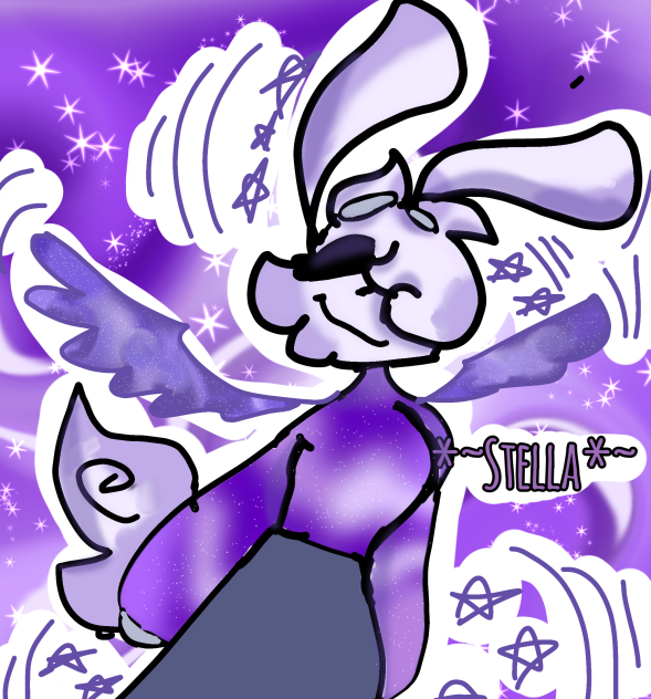 Stella the bunny