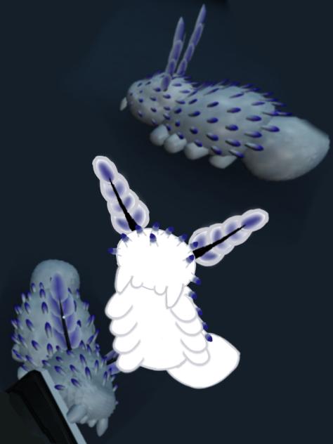 Sea Bunnies 😻{from pressure}
