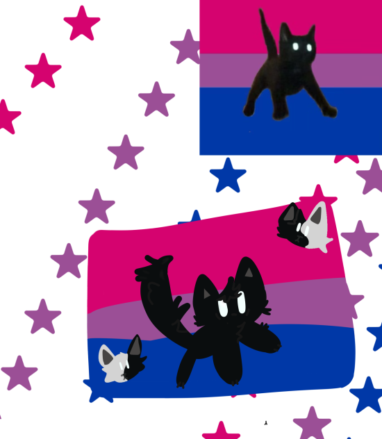Bi cat
