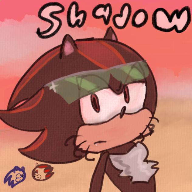 SHADOW!!€!1!1!1!!!!23!! (I’m going crazy
