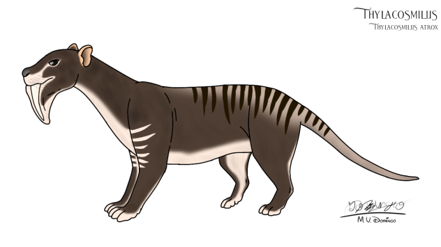 Thylacosmilus atrox
