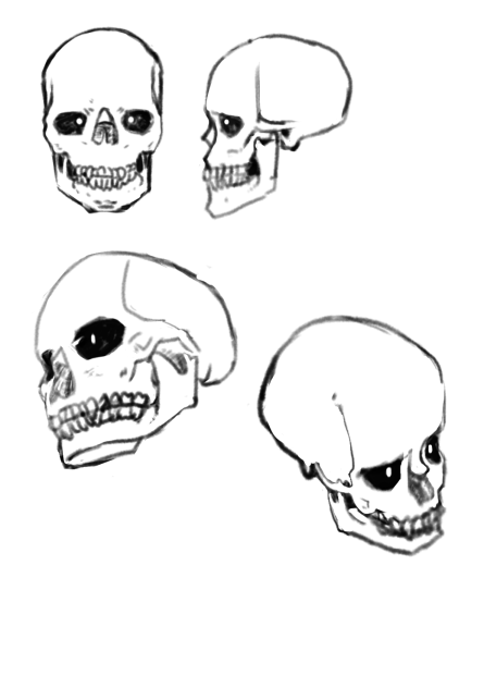 dynamic drawing study 11.10