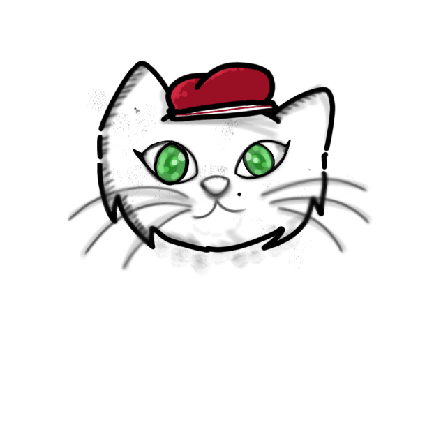 A cat
