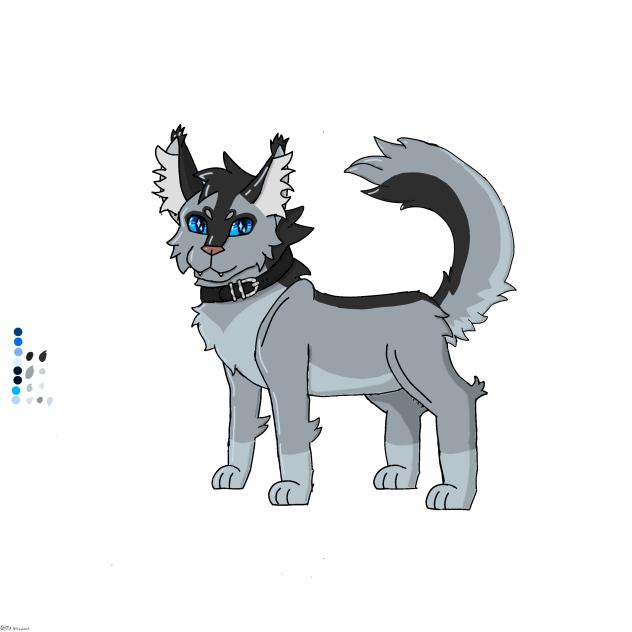 Warrior cats OC