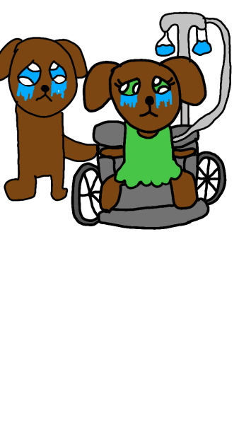 Wheelchair dog
