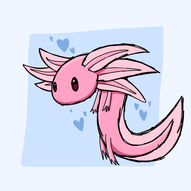 Axolotl