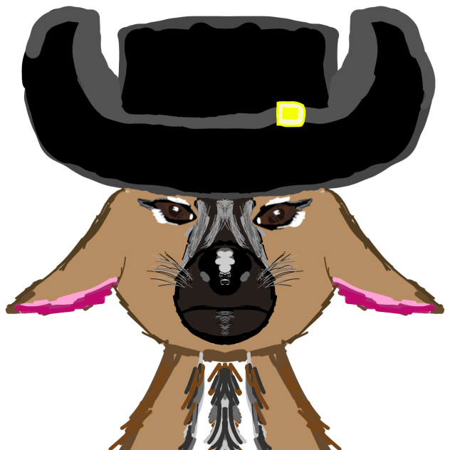 my dog in a cow boy hat