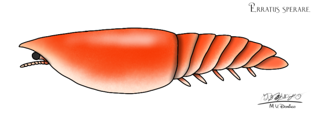 Erratus sperare