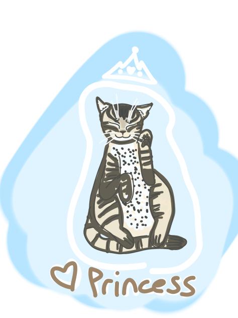 Princess the cat Clo requested=^.-.^=