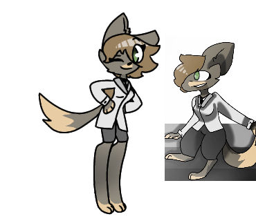 Scarlet the coyote