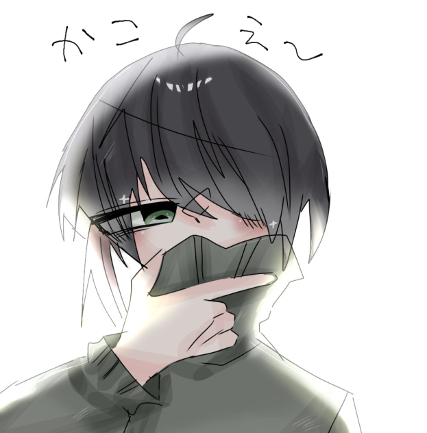 資料じゃないねこれ