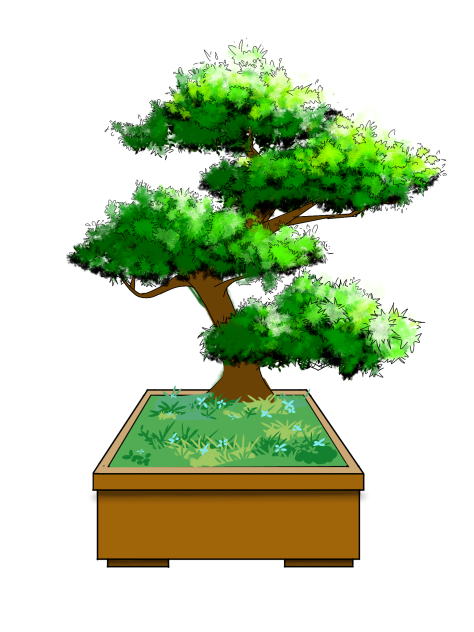 Material - Bonsai Tree