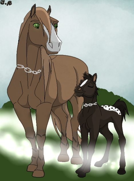 The New Foal