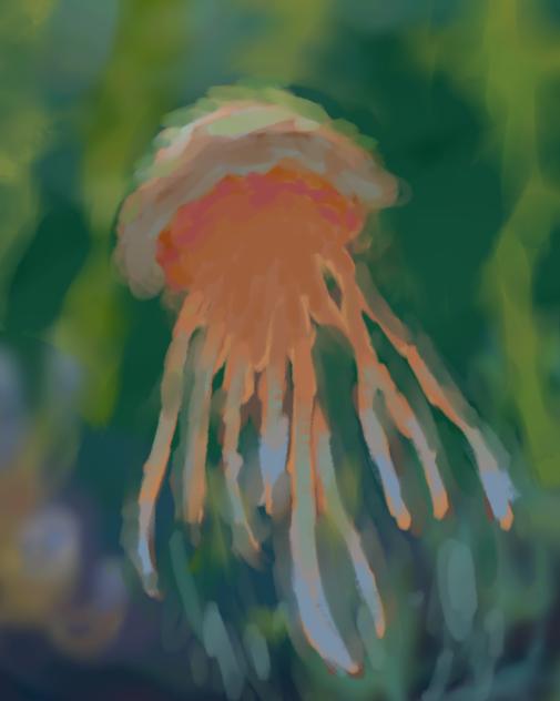 jellyfish - ibisPaint
