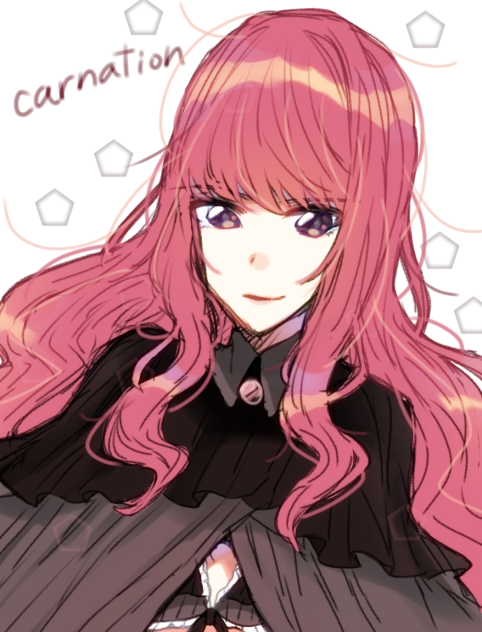 カーネーション