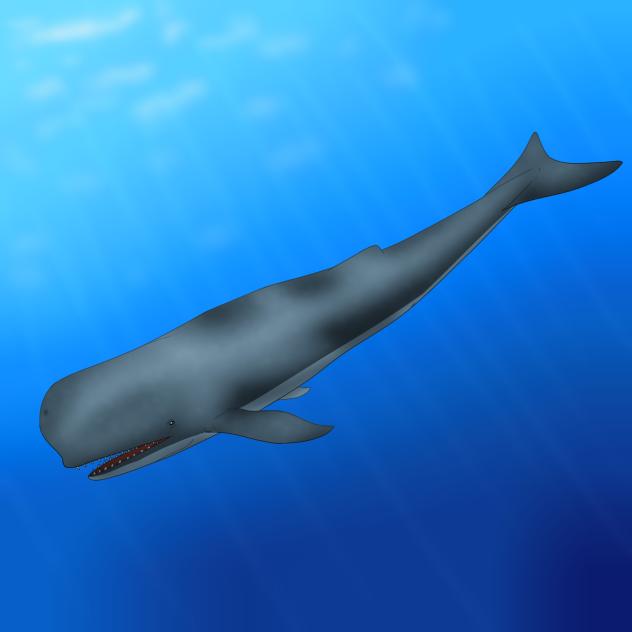 リヴィアタン・メルビレイ