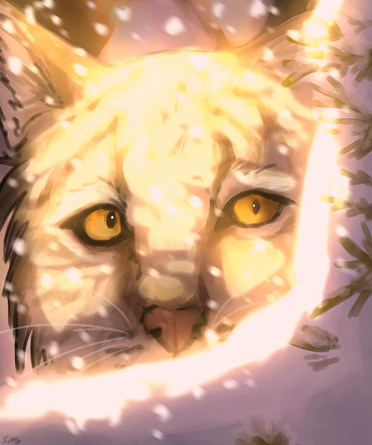 ❄️Lynx ❄️