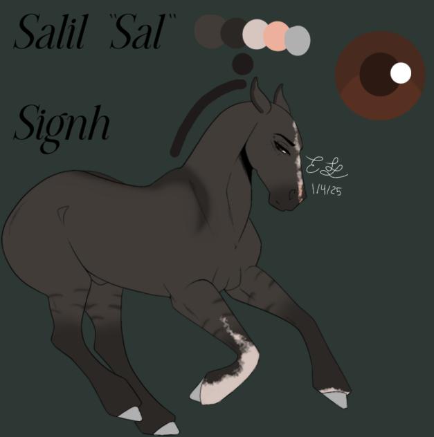 ~Sal Signh ~