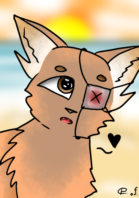 ✐Cracker walks on the beach...✧ˬ✧