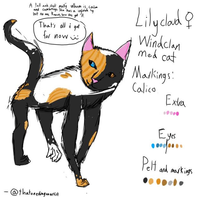 random warrior cats oc