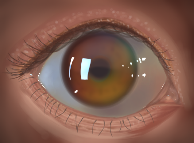 Eye