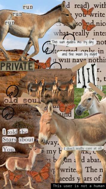 Onagers ^^
