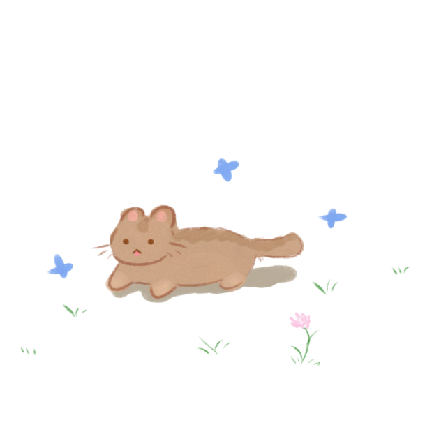 cat
