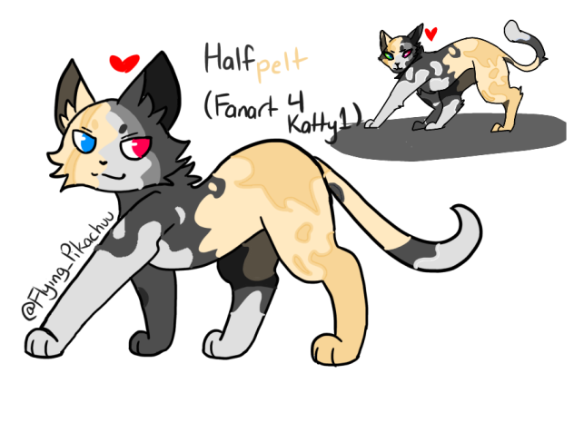 Halfpelt 4 Katty1