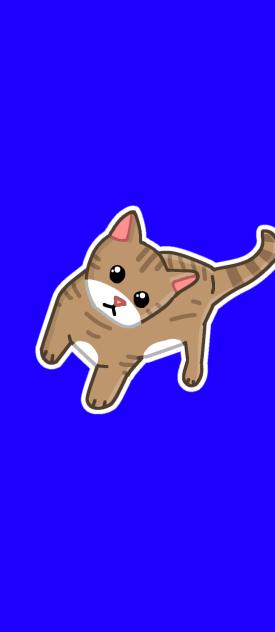 🐱