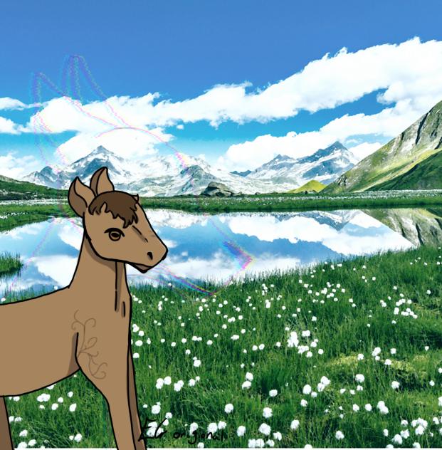 Horse with wolf spirit