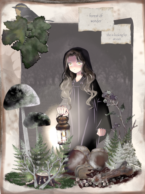 迷いの森