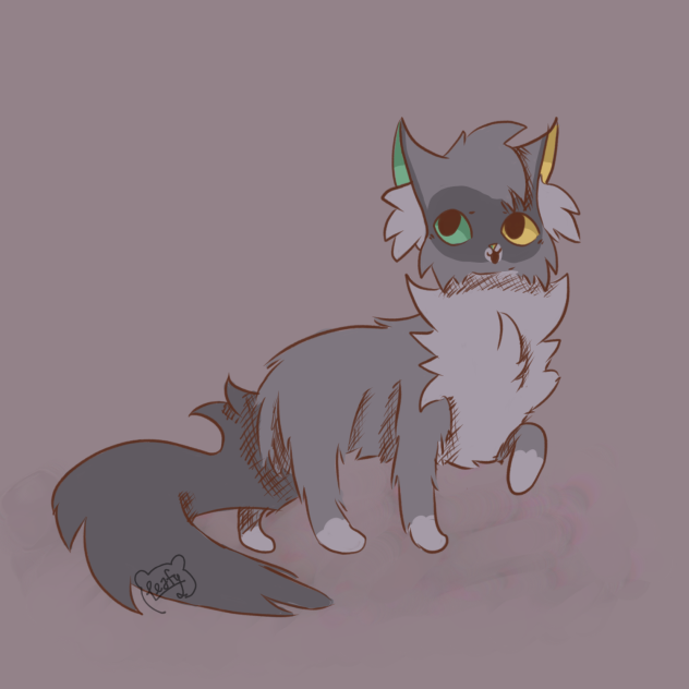 D For Dovewing
