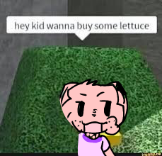Random roblox meme thingy
