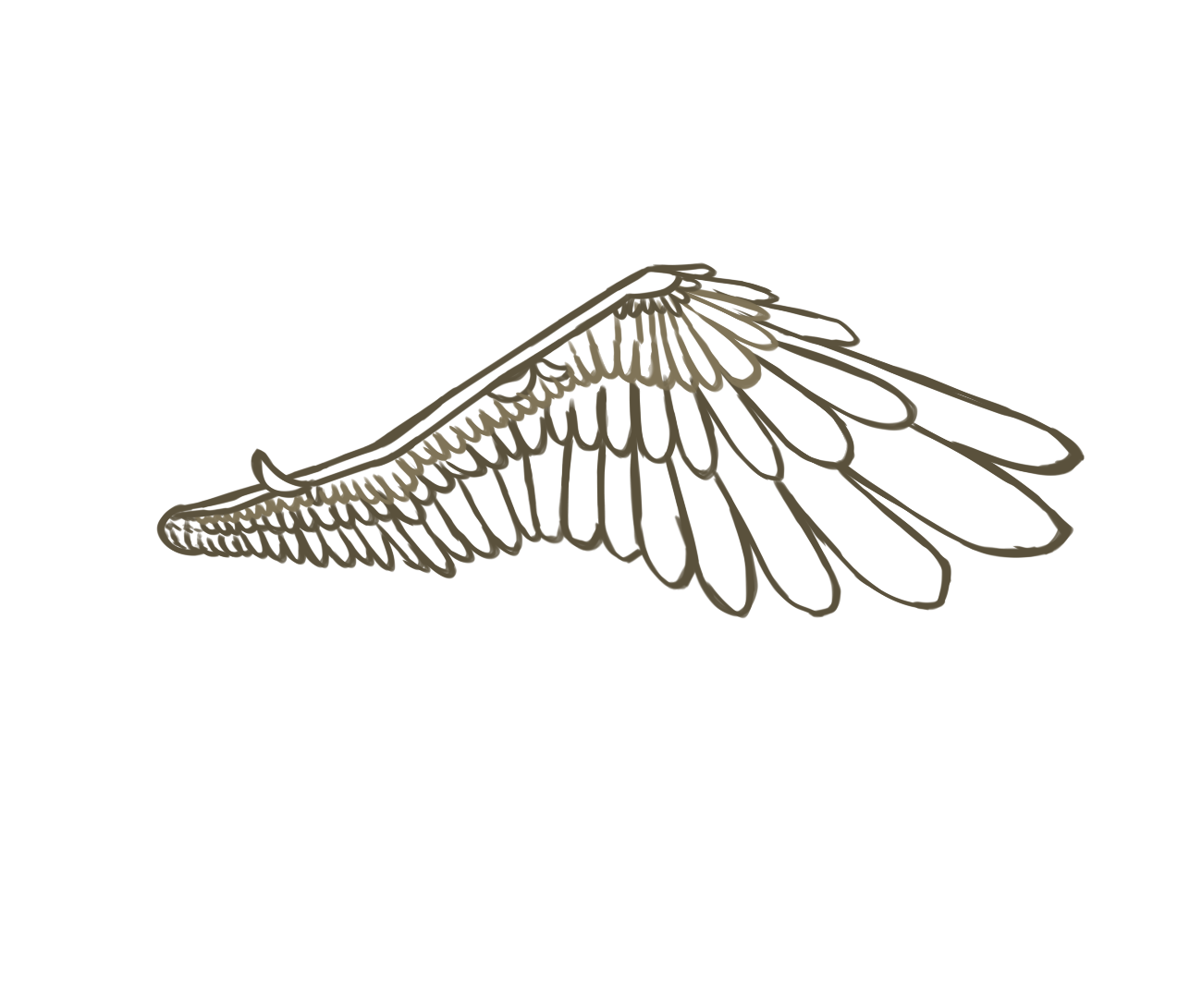 PRACTICE WINGS - ibisPaint