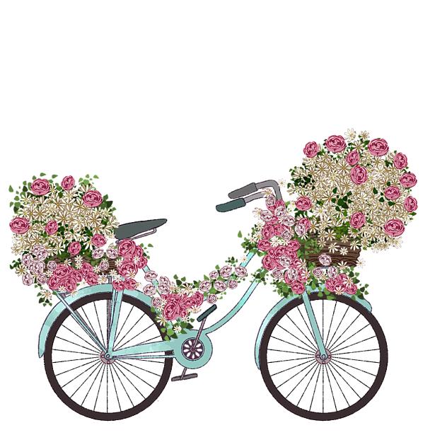 Rose and Daisy Bicycle
