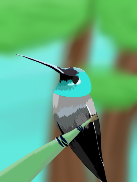 🌺hummingbird🌺
