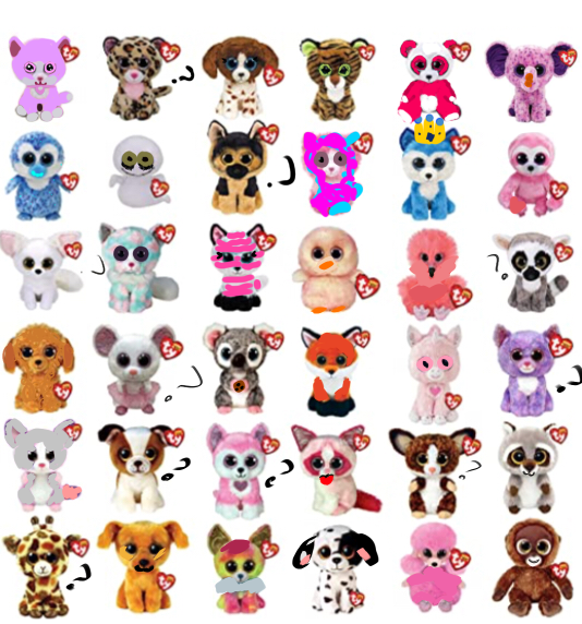 I changed Beanie Boos