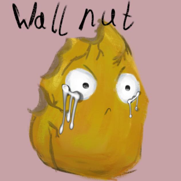 wall-nut