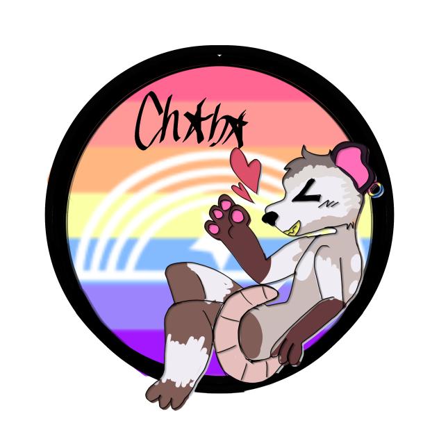 Opossum pfp